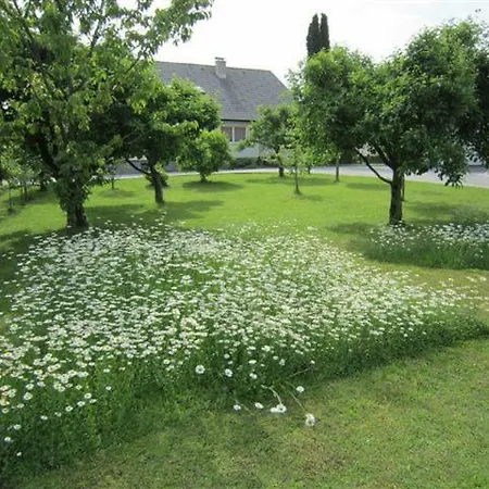 Apartma Majda 公寓 布莱德